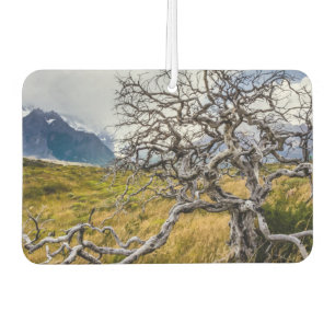 Brandstofboom, Torres del Paine, Chili Luchtverfrisser