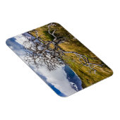 Brandstofboom, Torres del Paine, Chili Magneet (Rechterzijde)