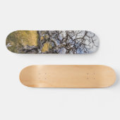Brandstofboom, Torres del Paine, Chili Persoonlijk Skateboard (Horizontaal)