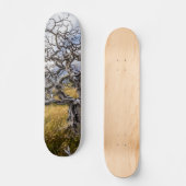 Brandstofboom, Torres del Paine, Chili Persoonlijk Skateboard (Voorkant)