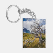 Brandstofboom, Torres del Paine, Chili Sleutelhanger (Voorkant Links)