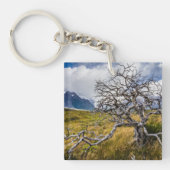 Brandstofboom, Torres del Paine, Chili Sleutelhanger (Voorkant)