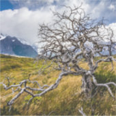 Brandstofboom, Torres del Paine, Chili Sticker (Voorkant)