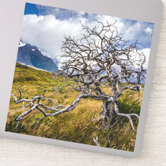 Brandstofboom, Torres del Paine, Chili Sticker (Detail)