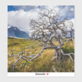 Brandstofboom, Torres del Paine, Chili Sticker (Vel)