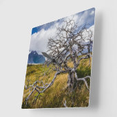 Brandstofboom, Torres del Paine, Chili Vierkante Klok (Hoek)