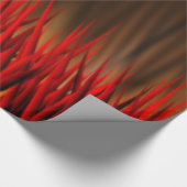 BRANDSTOFFEN CADEAUPAPIER (Hoek)