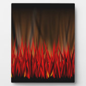 BRANDSTOFFEN FOTOPLAAT (Voorkant)