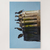 Brandt's aalscholver legpuzzel (Verticaal)