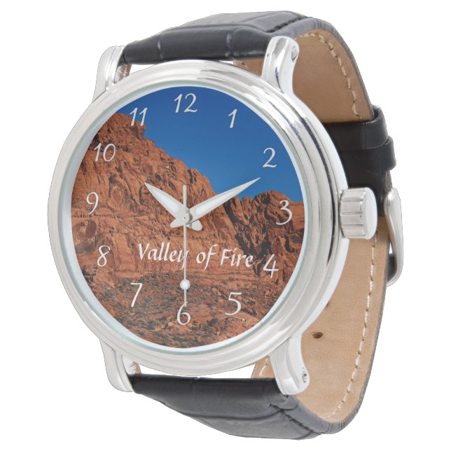 Brandvallei Horloge (Gekanteld)