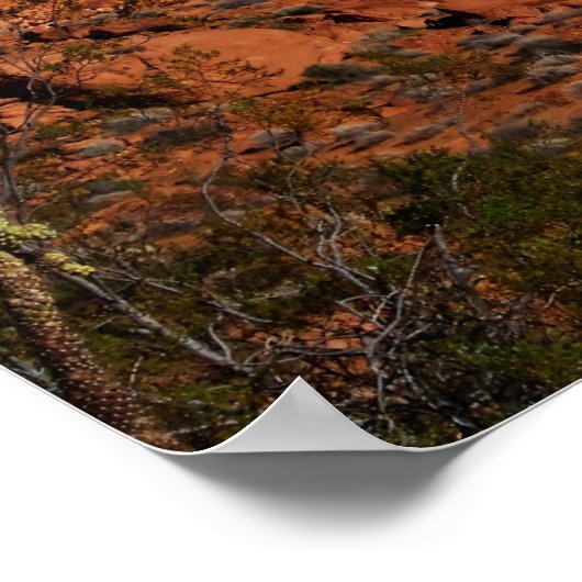 Brandvallei Poster (Hoek)