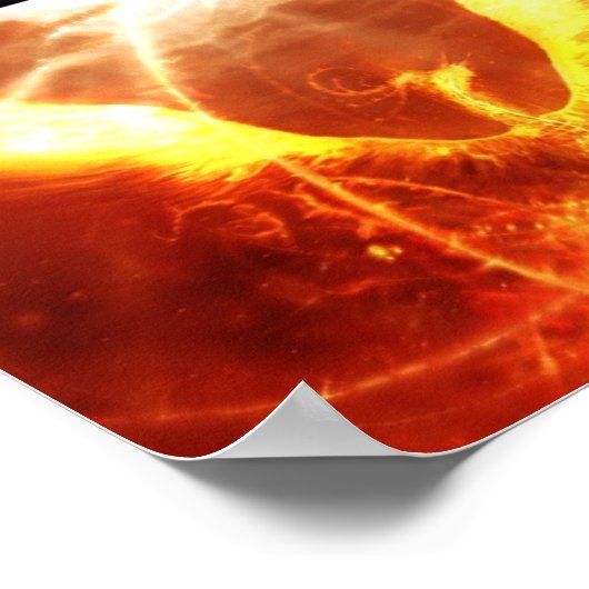 Brandvogel Poster (Hoek)