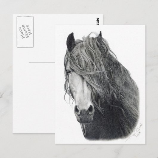 Brandvuur Briefkaart (Voorkant / Achterkant)