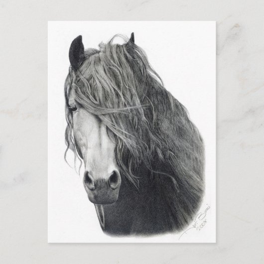 Brandvuur Briefkaart (Voorkant)