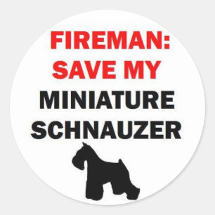 Brandweerman Red mijn miniatuur Schnauzer Ronde Sticker