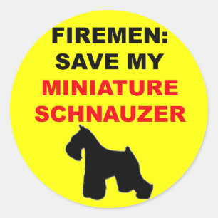 Brandweerman Red mijn miniatuur Schnauzer Ronde Sticker