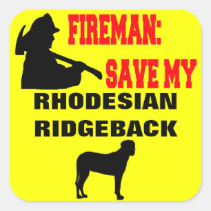 Brandweerman red mijn Rhodesian Ridgeback hond Vierkante Sticker