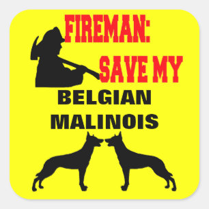 Brandweerman red mijn twee Belgische Malinois hond Vierkante Sticker