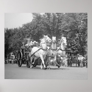 Brandweerpaarden, 1925. Oude foto Poster