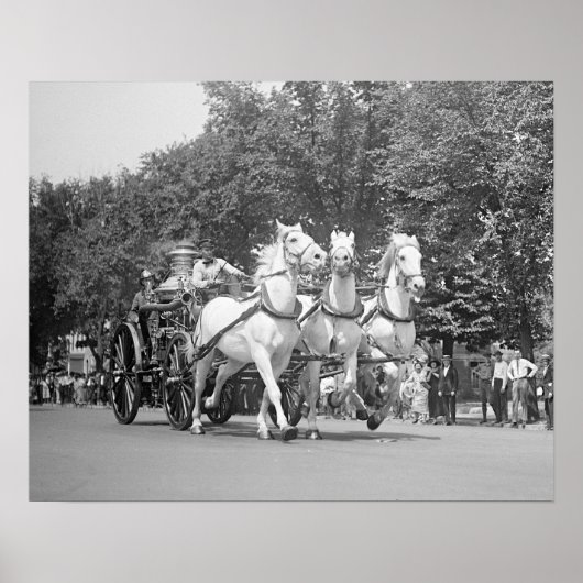 Brandweerpaarden, 1925. Oude foto Poster (Voorkant)
