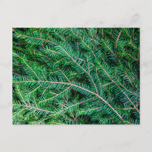 Brandweertak Briefkaart (Voorkant)