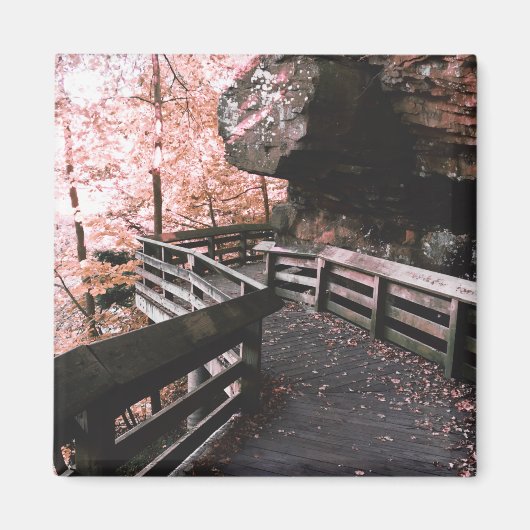 brandwendelwijn magneet (Voorkant)