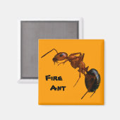 Brandwerende antenne magneet (Voorkant / Achterkant)