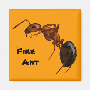 Brandwerende antenne magneet