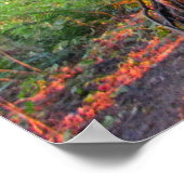 Brandwerende bomen poster (Hoek)