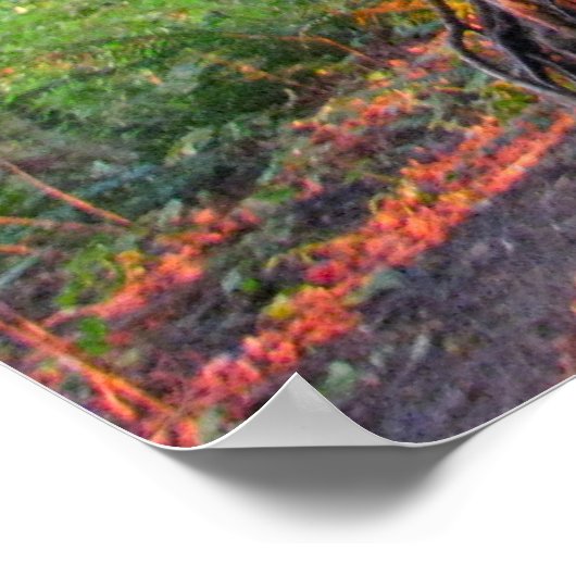 Brandwerende bomen poster (Hoek)