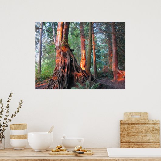 Brandwerende bomen poster (Keuken)