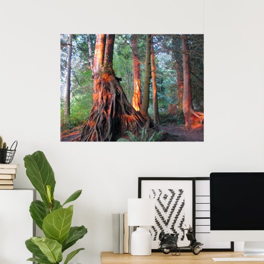 Brandwerende bomen poster (Thuiskantoor)