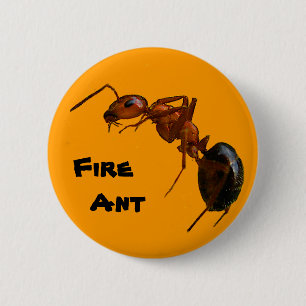 Brandwerendheid Ronde Button 5,7 Cm