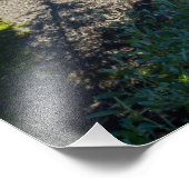 Brandywijn Herfsten Foto Afdruk (Hoek)