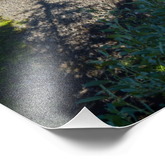 Brandywijn Herfsten Foto Afdruk (Hoek)