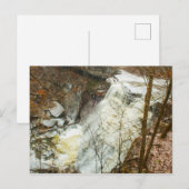 Brandywijn-Herfsten in de winter, Ohio Briefkaart (Voorkant / Achterkant)