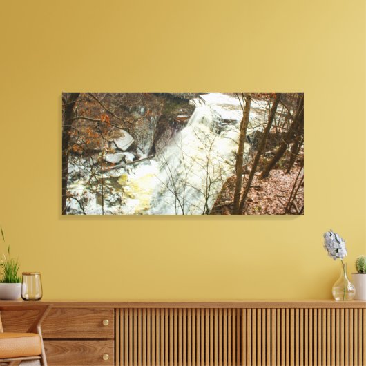 Brandywijn-Herfsten in de winter, Ohio Canvas Afdruk (Insitu (Woonkamer))