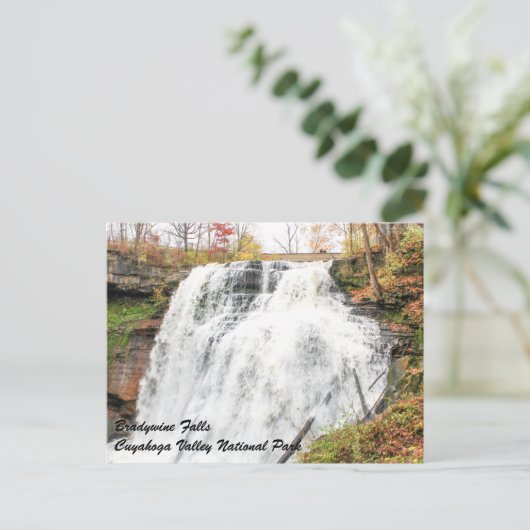 Brandywijn-Herfsten in het Nationaal Park Cuyahoga Briefkaart (Staand voorkant)