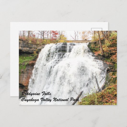 Brandywijn-Herfsten in het Nationaal Park Cuyahoga Briefkaart (Voorkant / Achterkant)