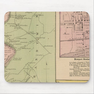 Brandywine Banks Muismat