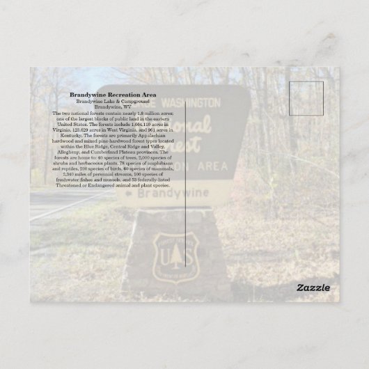 Brandywine Campground Briefkaart (Achterkant)