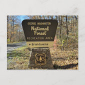 Brandywine Campground Briefkaart (Voorkant)