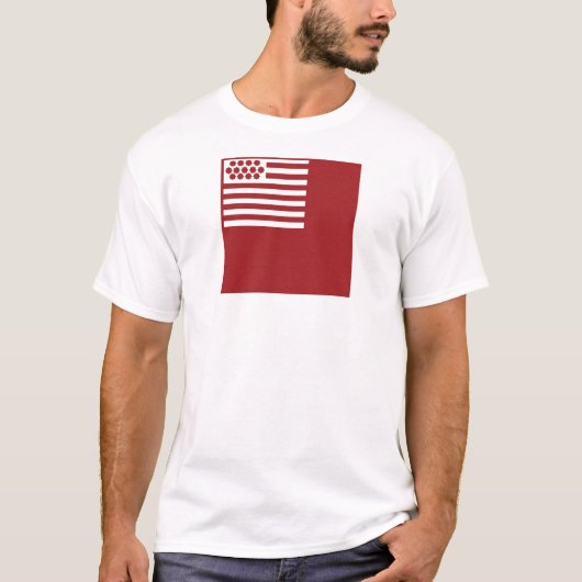 Brandywine Flag T-shirt (Voorkant)