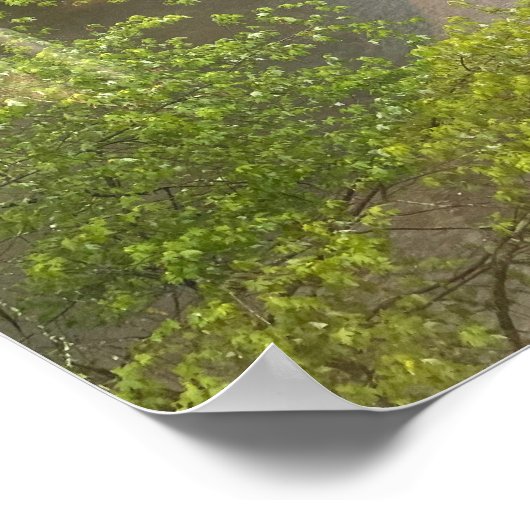 Brandywine River Foto Poster (Hoek)