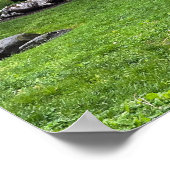 Brandywine River Poster (Hoek)