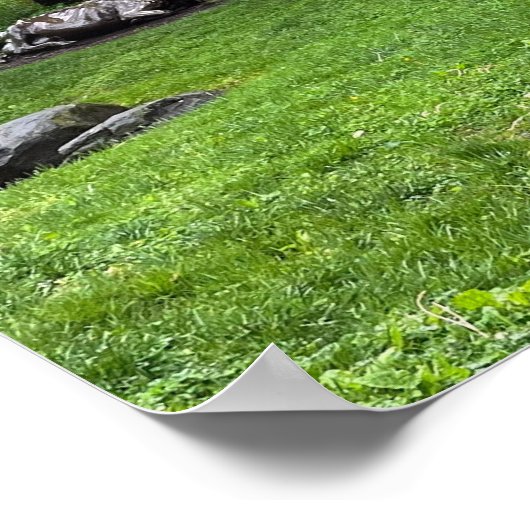 Brandywine River Poster (Hoek)