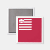 Brandywine vlag magneet (Voorkant / Achterkant)