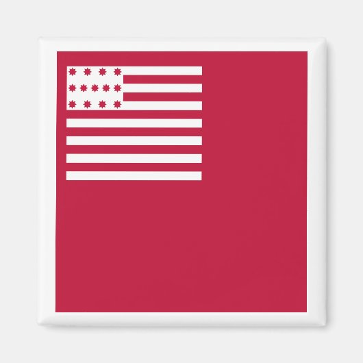 Brandywine vlag magneet (Voorkant)