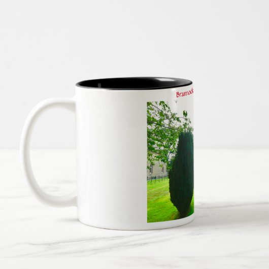 Brannockstown Two-Tone Coffee Mok (Links)