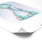 Branquiosaurus Foto Afdruk (Hoek)